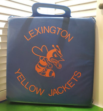 VTG Lexington Yellow Jackets Stadium Seat Cushion Hog City Davidson County NC picture