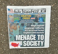 NEW YORK POST - SUNDAY OCT 11, 2026 (ILLEGAL NY GANG BANGER - ICE - MENACE) picture