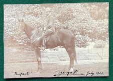 Antique Royal Signed Photo King George V as Prince of Wales on his Horse Rupert picture