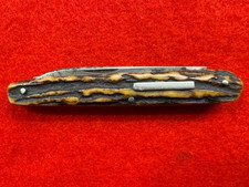 RARE FRANK MILLS, SHEFFIELD STAG SCALED 2 BLADE POCKET KNIFE  (447) picture