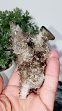 160g Natural Raw SMOKEYQuartz Crystal Cluster Mineral Specimen  picture