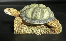 Harmony Kingdom Artist Neil Eyre ~ Tortoise on Grass - Limited Edtion #6 of 100 picture