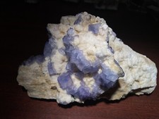 Cabinet Blue FLUORITE on Quartz - Blanchard, Mine, Bingham, New Mexico picture