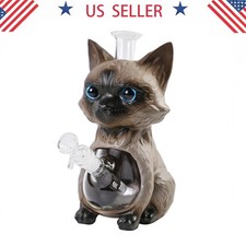 Siamese cat 9