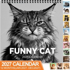 Funny Maine Coon 2027 Wall Calendar, Grumpy Cat Calendar, Cat Lover Gift picture