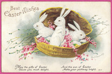 Vtg Clapsaddle Easter White Rabbits Egg Basket Pussy Willows A/S PC Emb c1914 picture