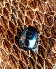 King Cobra pearl | Cobra Stone Nagamani | King Cobra Snake pearl | Nagamani Ston picture