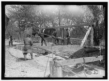 Photo:Horse Hauling Logs Road Work Crew 1910s picture