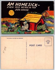 Am Homesick Even Miss Being In Tha' Dog House Comic Dog Postcard picture