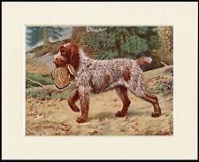 GERMAN WIREHAIRED POINTER AND BIRD DOG PRINT MOUNTED READY TO FRAME picture