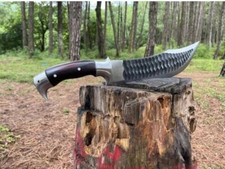 Custom Handmade Carbon Steel Blade Eagle Bowie Knife Hunting Knife Campaign  picture