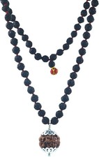 17 Mukhi Nepali Rudraksha Katyayani Bead with 108+1 Five Mukhi Rudraksha Mala | picture