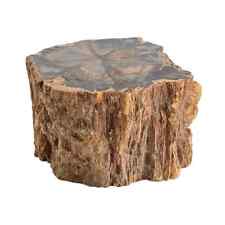 Ct 11458 Petrified Wood Brown Home Indoor Decoration Branches-XL Approx. Gifts picture