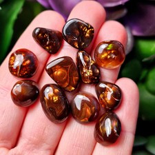 Mexican Fire Agate, Rainbow Fire Agate Polished Specimens picture