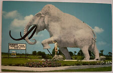 Barstow FL Phosphate Valley Exposition Mammoth Vintage Postcard Florida Chrome picture