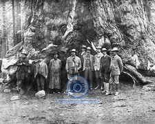 PRESIDENT THEODORE TEDDY ROOSEVELT AND JOHN MUIR 8X10 PHOTOGRAPH picture