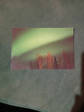 Northern Lights Photo 12/31/93 picture