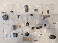 23pc Bone Valley Florida Fossil Lot w/ Locality Labels Polk Co Phosphate Pits picture