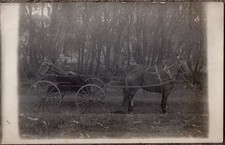 Vintage Two Guys Riding a Wagon Texas Real Photo Postcard  picture