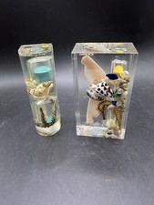 2 Vtg Lucite Seashell Sand Timer Hourglass Daytona Beach & Myrtle Beach picture