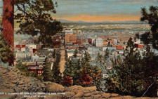 Postcard WA: Glimpse of Spokane, Washington Through the Pines, Posted 1925 picture