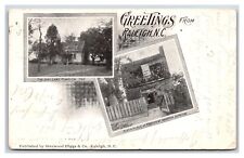 Multiview Vignette Greetings Raleigh North Carolina NC 1905 UDB Postcard R14 picture