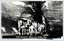 Lost Canyon Horse-drawn Carriage Tour Wisconsin Dells Vintage Photo Postcard-731 picture