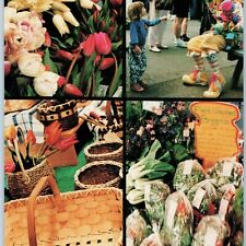 1994 Olympia, WA Farmers Market Hours Multi-View Oversized Postcard Brochure 3R picture