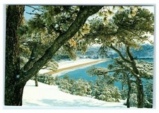 Postcard Sand Beach at Acadia National Park, Maine winter snow w/o trim K9 picture