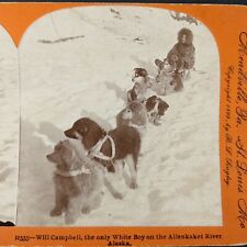 1899 Alaska Allenkaket River Will Campbell Real Photo Stereo Card Puppies Dog V3 picture