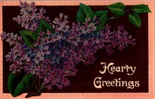Vintage Victorian Postcard 1911 Hearty Greetings - Lilacs on Brown Card picture