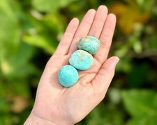 Peruvian Turquoise Tumbled Stones:  Choose How Many Pieces ('A' Grade) picture