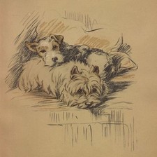 West Highland White Terrier - CUSTOM MATTED - Lucy Dawson Dog Art Print NEW picture