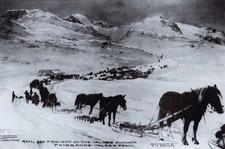 Alaska Klondike Gold Rush Horses Valdez Trail to Fairbanks AK Vtg Mag Article picture