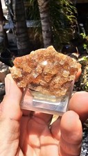 ☆HESSONITE GARNET from the JEFFREY MINE, ESTRIE, QUEBEC☆ picture