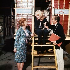 Hayley Mills John Mills Mary Mills and family dog 1960's era 8x10 inch photo picture