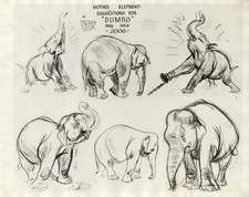 Disney: Dumbo-Original Stat Model Sheet-Mother Elephant-1941 picture