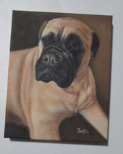 Bullmastiff Portrait 8 X 10 inches picture