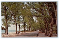 c1950's Shady Gulf Drive on Tropical Captiva Island Florida FL Postcard picture