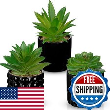 Briful Succulents Plants Artificial In Black Ceramic Pots (set 3), Small Fake picture