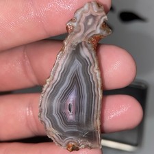 Wonderful Fortification Agate Rough Stone 22 Grams picture