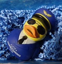 2026 UCF Homecoming Spirit Splash Duck Brand NEW in Sealed Box 2026 Edition picture