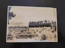 Vintage California Orange Grove Snow Mountains Paul's Photos Chicago 4.75x6.5 picture
