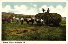 NEW JERSEY Midvale Countryside Horses Wagon Farming Hay c1914 Postcard picture
