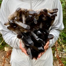 10.5LB  Natural smoky black quartz cluster crystal mineral specimen picture