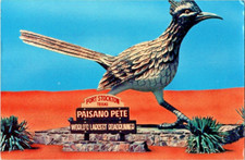 Fort Stockton Texas , worlds largest roadrunner postcard a88 picture