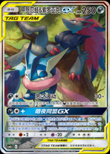 Pokemon TCG Chinese Quajutsu & Zoroark GX SR CSM2cC-162 TAG TEAM NM picture