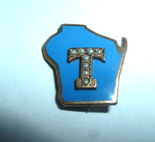 MAP OF TEXAS RARE 10K GOLD ENAMEL AND SEED PEARLS VINTAGE PIN picture