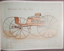 1890s Bradley & Co Syracuse Wagon Carriage Full Color Catalog Original B5-34 picture