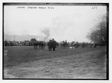 New York NY 1908 Judging Speedway Parade horses spectators boulevards picture